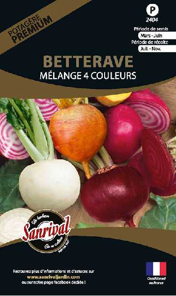 BETTERAVE MIXTE 4 COULEURS (HULA HO
