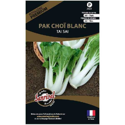 CHOU PAK CHOÏ TAI SAI