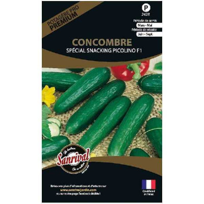 CONCOMBRE MINI LUNCH F1 SNACKING