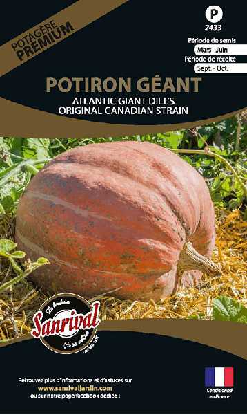 POTIRON ATLANTIC GIANT DILL'