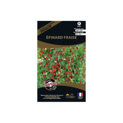 EPINARD FRAISE(CHENOPODIUM CAPITATU