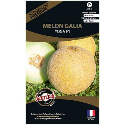 MELON  GALIA YOGA HF1