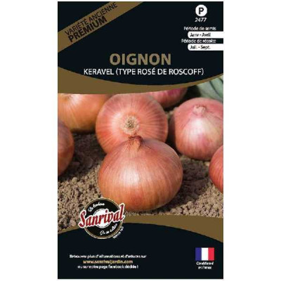OIGNON KERAVEL (TYPE OIGNON ROSCOFF