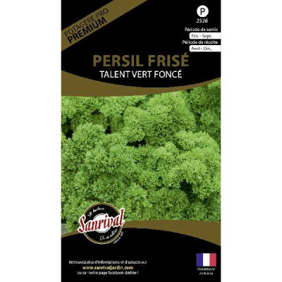 PERSIL FRISE TALENT