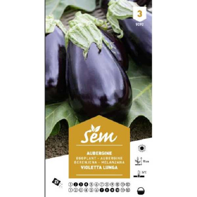 AUBERGINE VIOLETTA LUNGA
