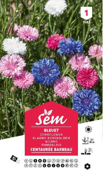 BLEUET (CENTAUREE BARBEAU)