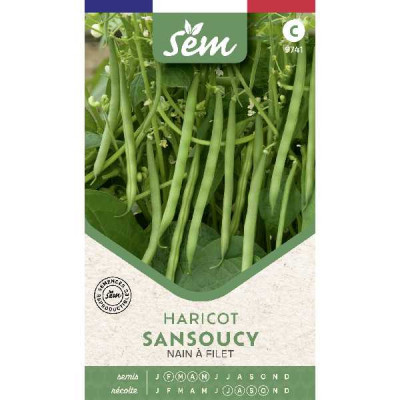 HARICOT SANSOUCY DECLIVIST GR.BL