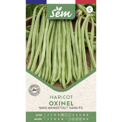 HARICOT MGT OXINEL GR.MA