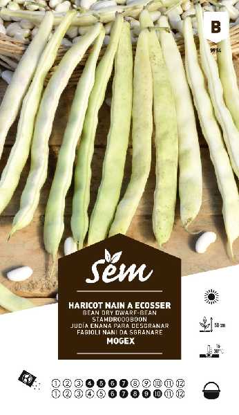 HARICOT  ECOSSER MOGEX