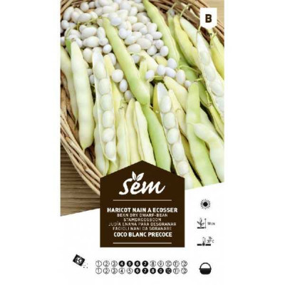 HARICOT ECOSSER COCO  BLANC PRECOCE