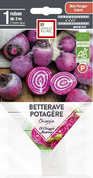 BETTERAVE POTAGERE CHIOGGIA  P TURC