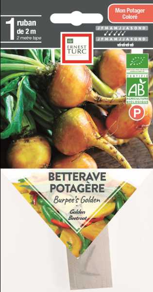 BETTERAVE POTAGERE BURPEES GOLDEN  P TURC