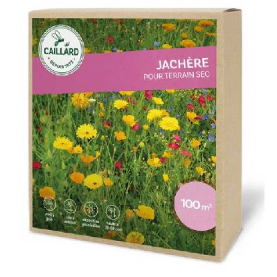 JACHERE TERRAIN SEC caillard