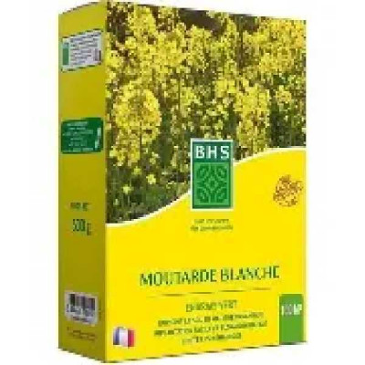 MOUTARDE   BHS