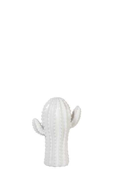 CACTUS DOLOMITE BLANC S (11X7X16CM)   Jolipa