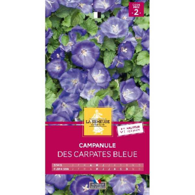 CAMPANULE DES CARPATES BLEUE  Code prix 2 La Semeuse