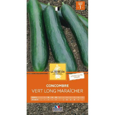 CONCOMBRE VERT LONG MARAICHER  Code prix 1 La Semeuse
