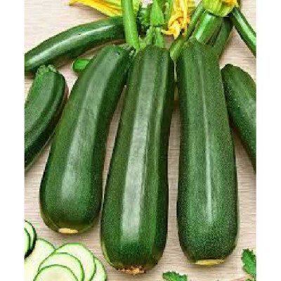 COURGETTE  Diamant f1
