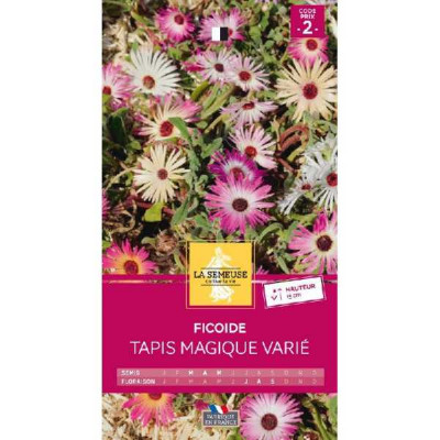 FICOIDE TAPIS MAGIQUE VARIE  Code prix 2 La Semeuse