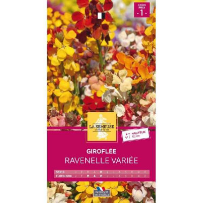 GIROFLEE RAVENELLE VARIEE  Code prix 1 La Semeuse