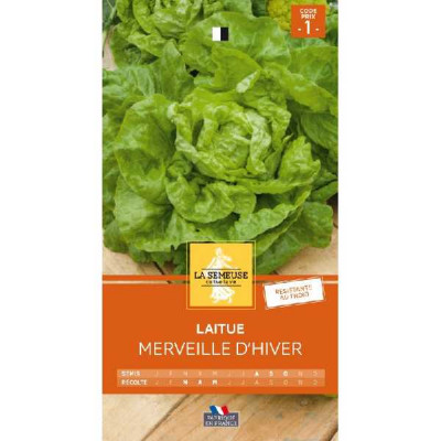 LAITUE MERVEILLE D HIVER  Code prix 1 La Semeuse