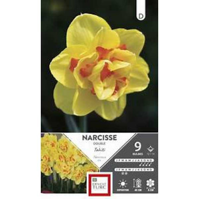 NARCISSE  DOUBLE TAHITI 12/14 X9  D TURC