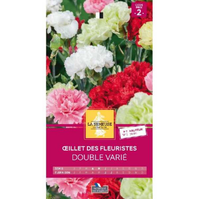 OEILLET DES FLEURISTES DOUBLE VA  Code prix 2 La Semeuse