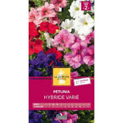 PETUNIA HYBRIDE VARIE  Code prix 2 La Semeuse