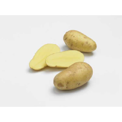 POMMES DE TERRE  Charlotte BERNARD POTAGER