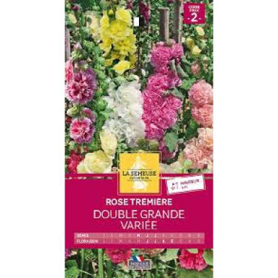 ROSE TREMIERE DOUBLE GRANDE VARI  Code prix 2 La Semeuse