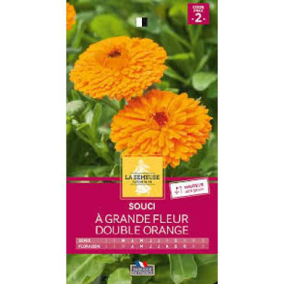 SOUCI A GRANDE FLEUR DOUBLE ORAN  Code prix 2 La Semeuse