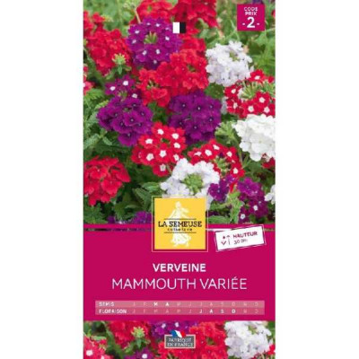 VERVEINE MAMMOUTH VARIEE  Code prix 2 La Semeuse