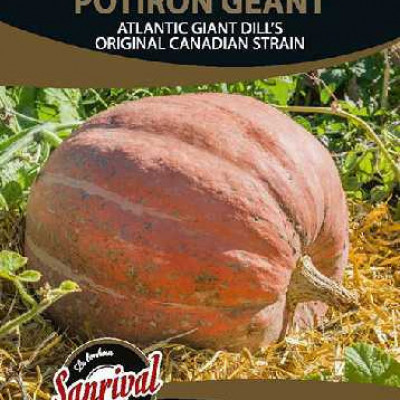 POTIRON ATLANTIC GIANT DILL'