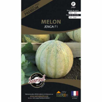 MELON GRISELET HF1