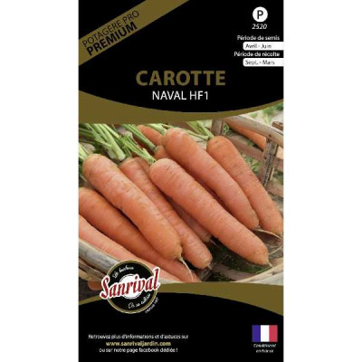 CAROTTE NAVAL F1