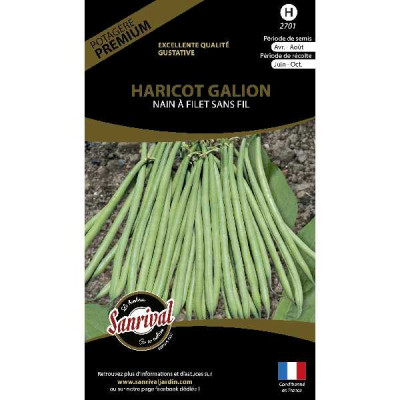 HARICOT GALION FILET NAIN SANS FIL