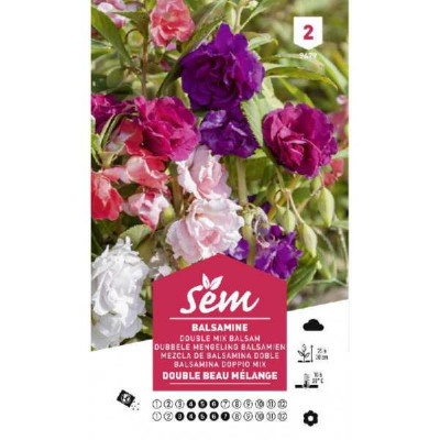 BALSAMINE DOUBLE BEAU MELANGE