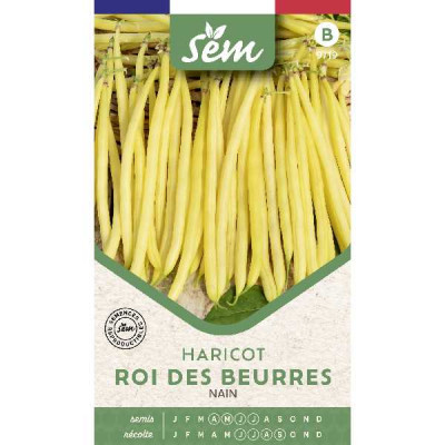 HARICOT BEURRE ROI DES BEURRES GRBL