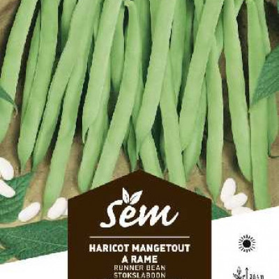 HARICOT  RAME PHENOMENE MGT
