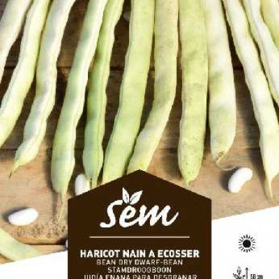 HARICOT  ECOSSER MOGEX