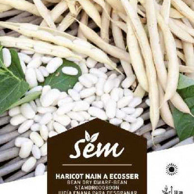 HARICOT ECOSSER MICHELET