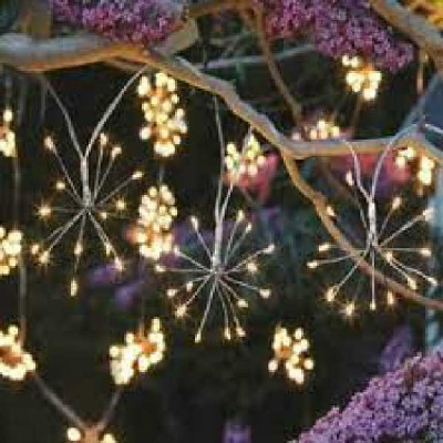 10 STARBURST STRING LIGHT   SMART GARDEN