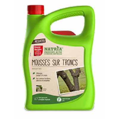 MOUSSES SUR TRONCS  Pae HOZELOCK