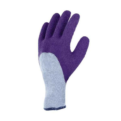 GANT ROSIER violet  AJS BLACKFOX