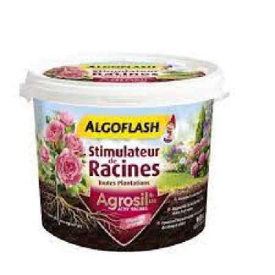 STIMULATEUR RACINE   Algo Compo