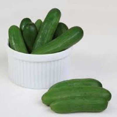 CONCOMBRE  Rocky® f1