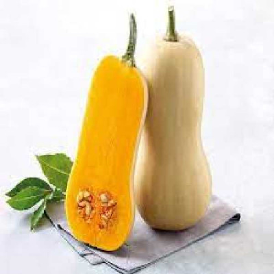 COURGE BUTTERNUT  Tivano f1