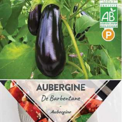 AUBERGINE DE BARBENTANE  P TURC