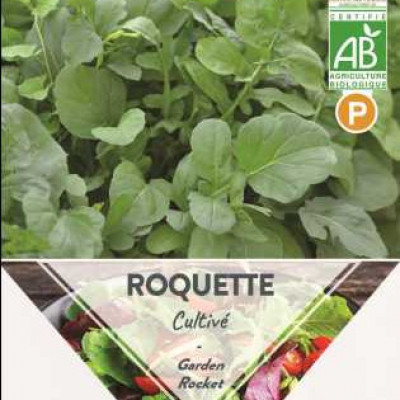 ROQUETTE CULTIVEE BIO X1  P TURC