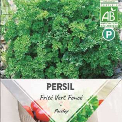 PERSIL FRISE VERT FONCE  P TURC
